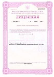 Лицензия mini